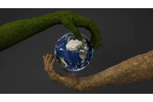 Qué es la economía circular y cómo aplicarla a tu negocio